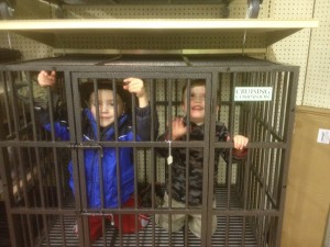We thought we'd keep these two monkeys in the Zoo cages, but oddly enough, Southern Agriculture wouldn't let us walk out without them...