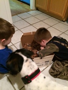 The kids occupied themselves with  "science experiments" and of course there's the ever-present photo bomber (AKA the dog).