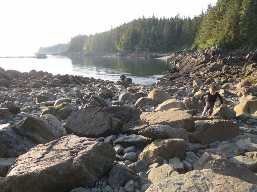 Fishing in Juneau Alaska, Amalga Harbor or Peterson Creek