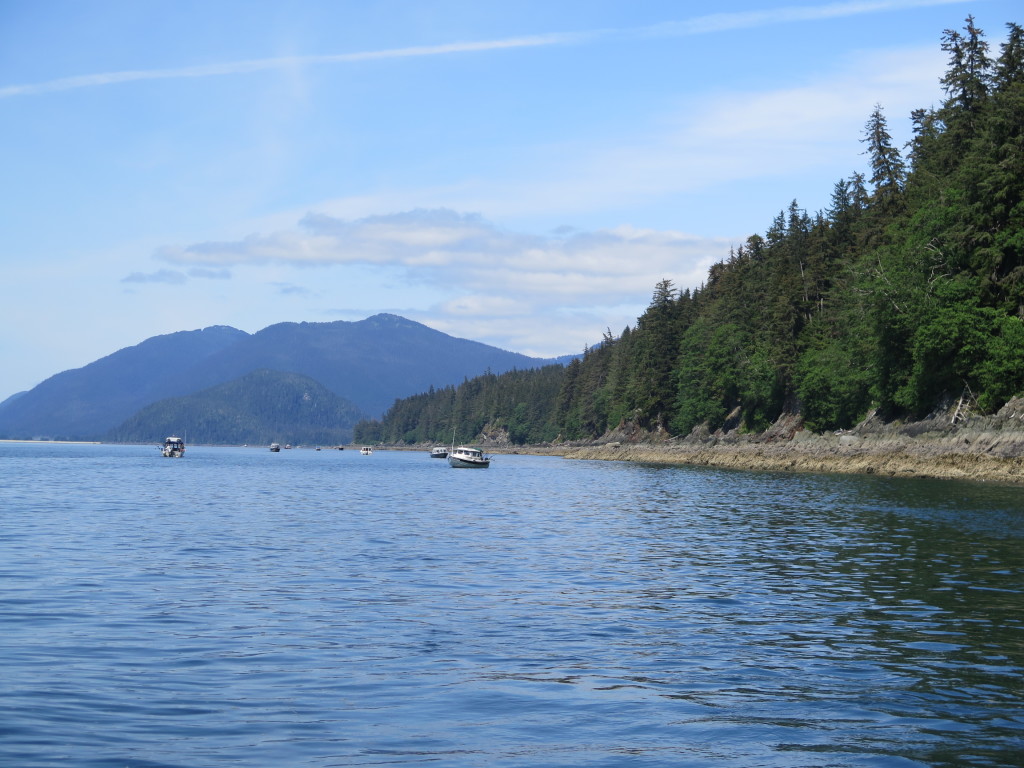 Boats in the water in Juneau Alaska