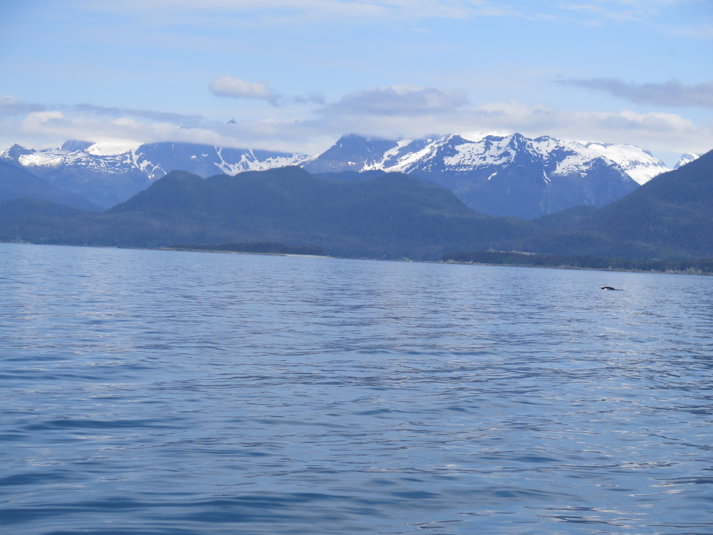 Whale watching in Juneau Alaska