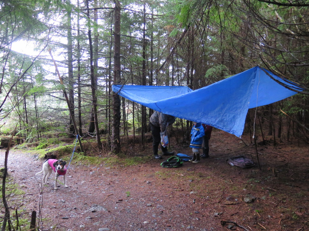 That time we tried to hike a trail when it was cold and raining, when I unwittingly sat on our snacks and our tarp kept leaking water. Fun times!!