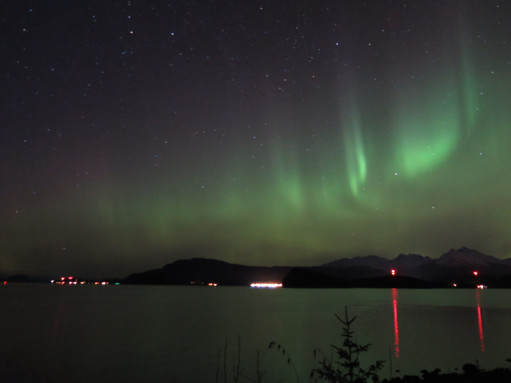 The Northern Lights never get old, either. 