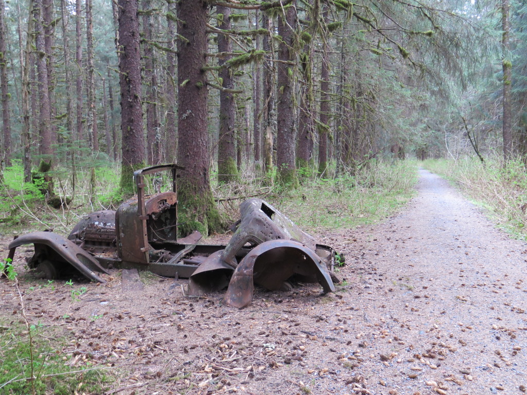 Would you believe this is along one of the trails here in Juneau?