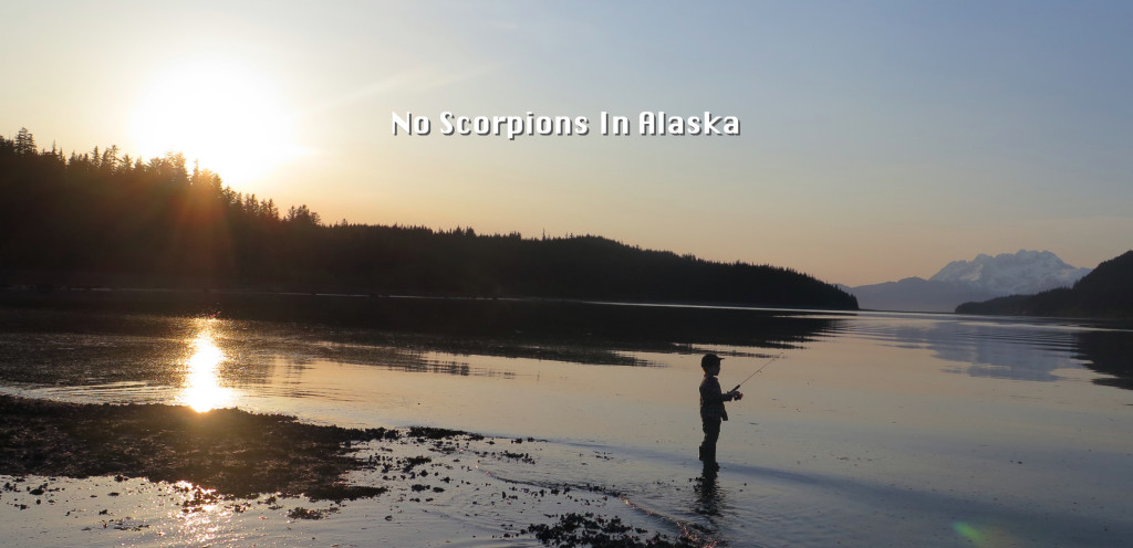 No Scorpions In Alaska